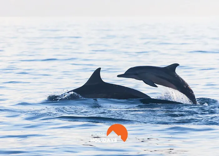 아파트 #025 T3 Encantador Em By Holidays *