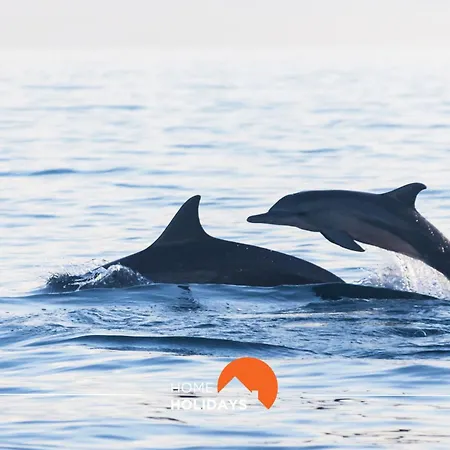 Apartman #025 T3 Encantador Em By Holidays *